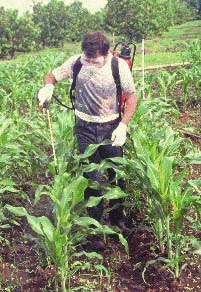 OBs can be applied using conventional spray equipment